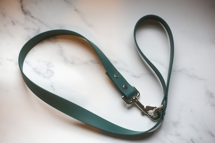 Biothane Leash