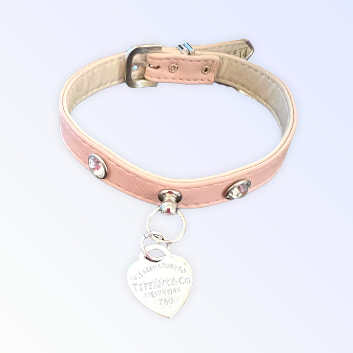 Pretty in Pink and Sniffany Collar