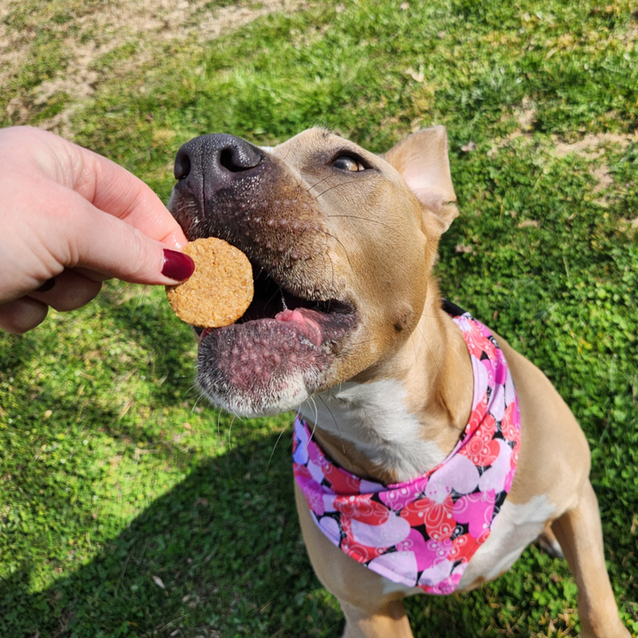 Peanut Butter Cookies