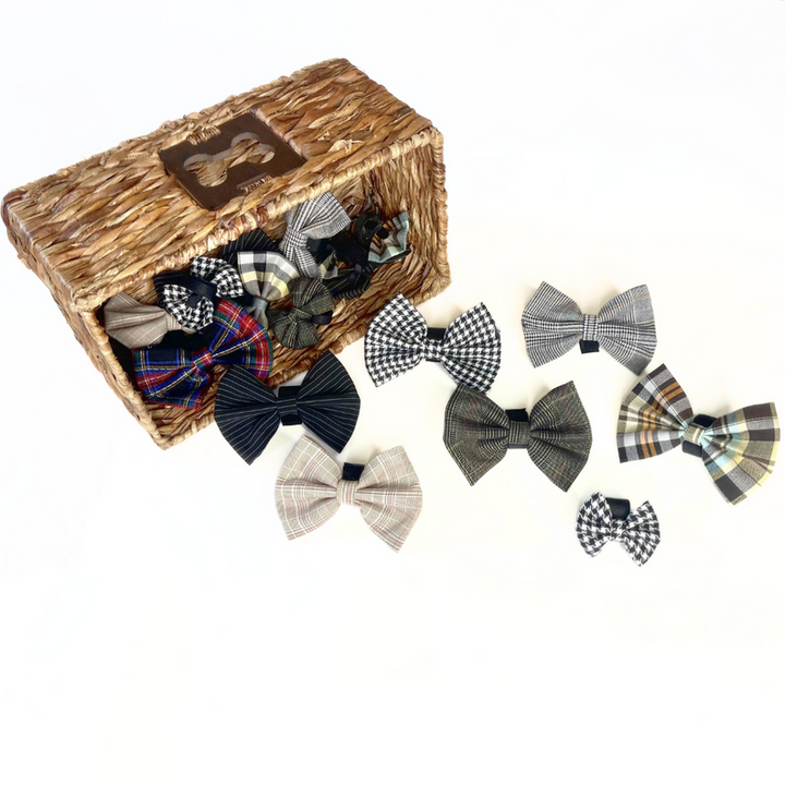 Boys Bowtie Budget Bundle|Pets Ribbons